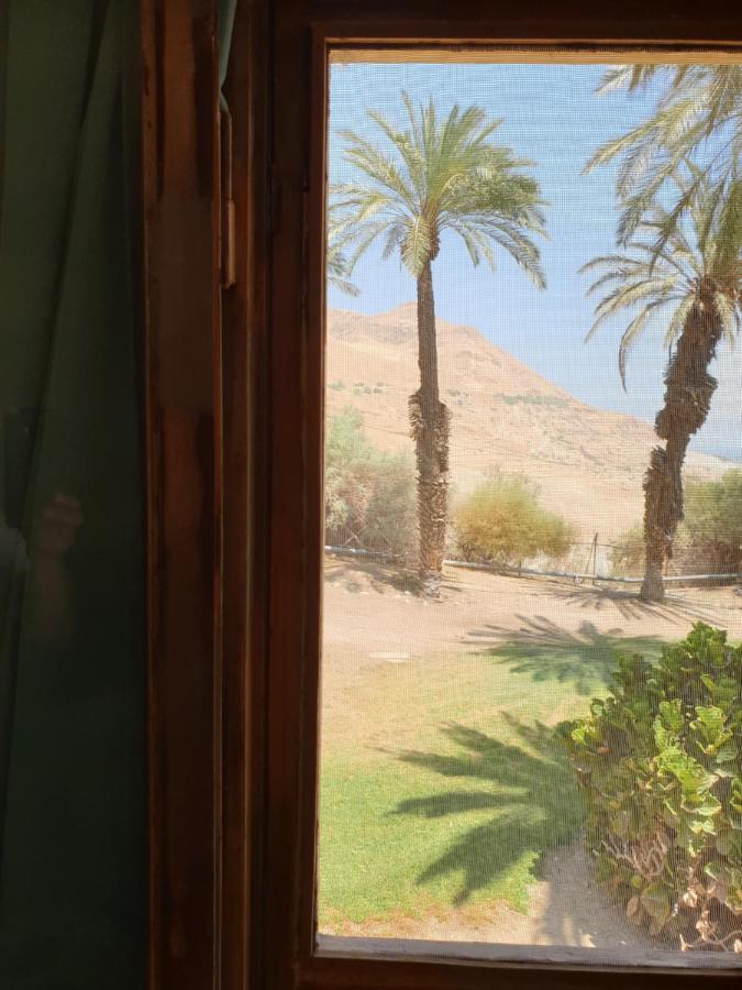 הצימר של יהושע Ein Gedi Zewnętrze zdjęcie